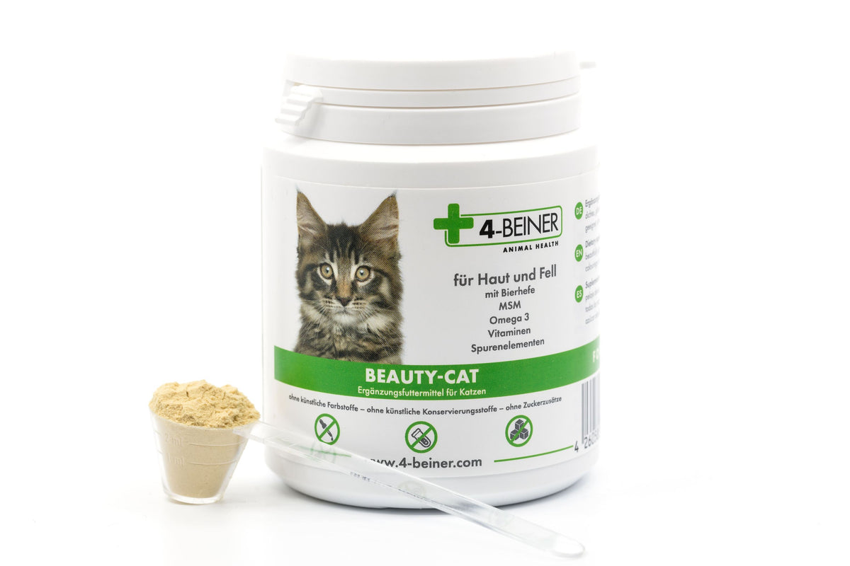 4-BEINER BEAUTY-CAT
