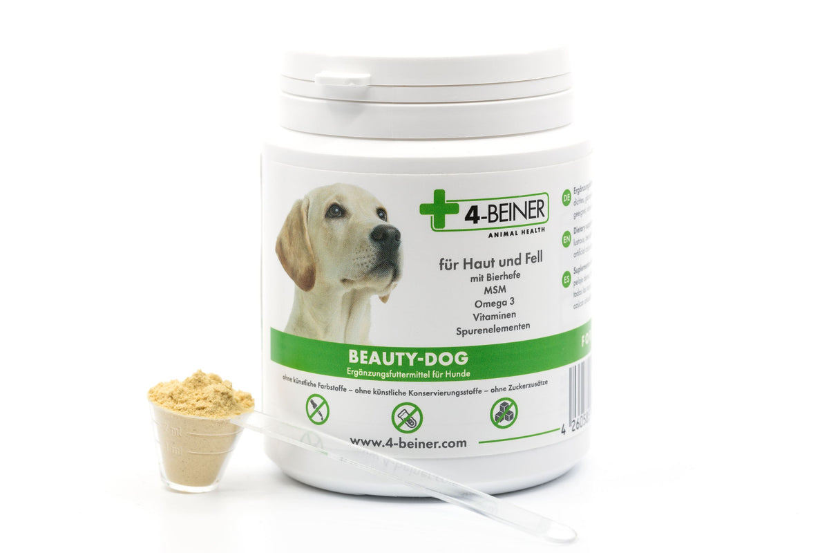 4-BEINER BEAUTY-DOG