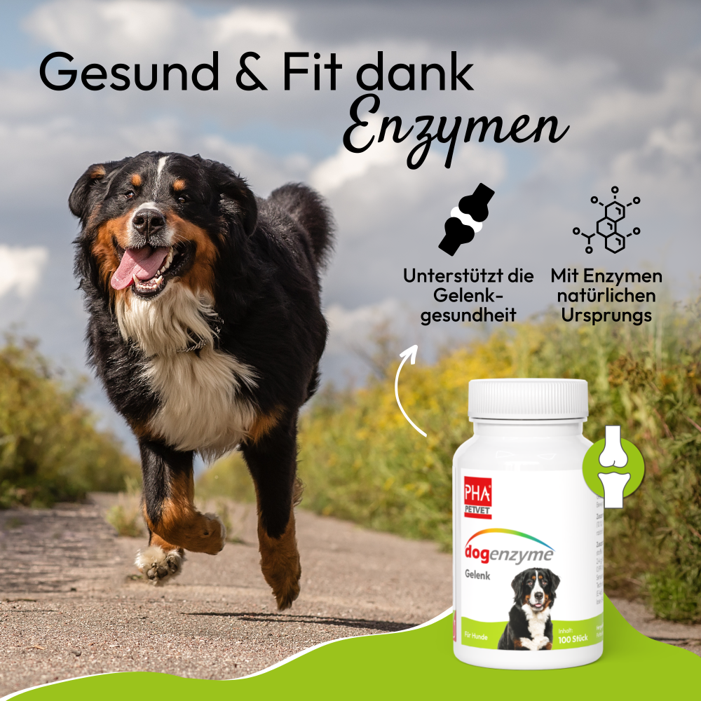 PHA dogenzyme – Gelenk 100 Tabletten (46 g)