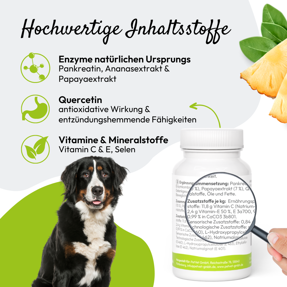 PHA dogenzyme – Gelenk 100 Tabletten (46 g)