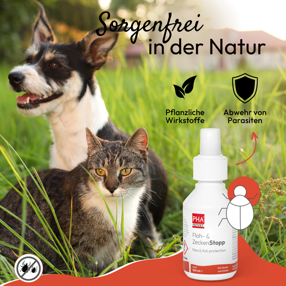 PHA Floh & ZeckenStopp für Hunde u. Katzen 100 ml