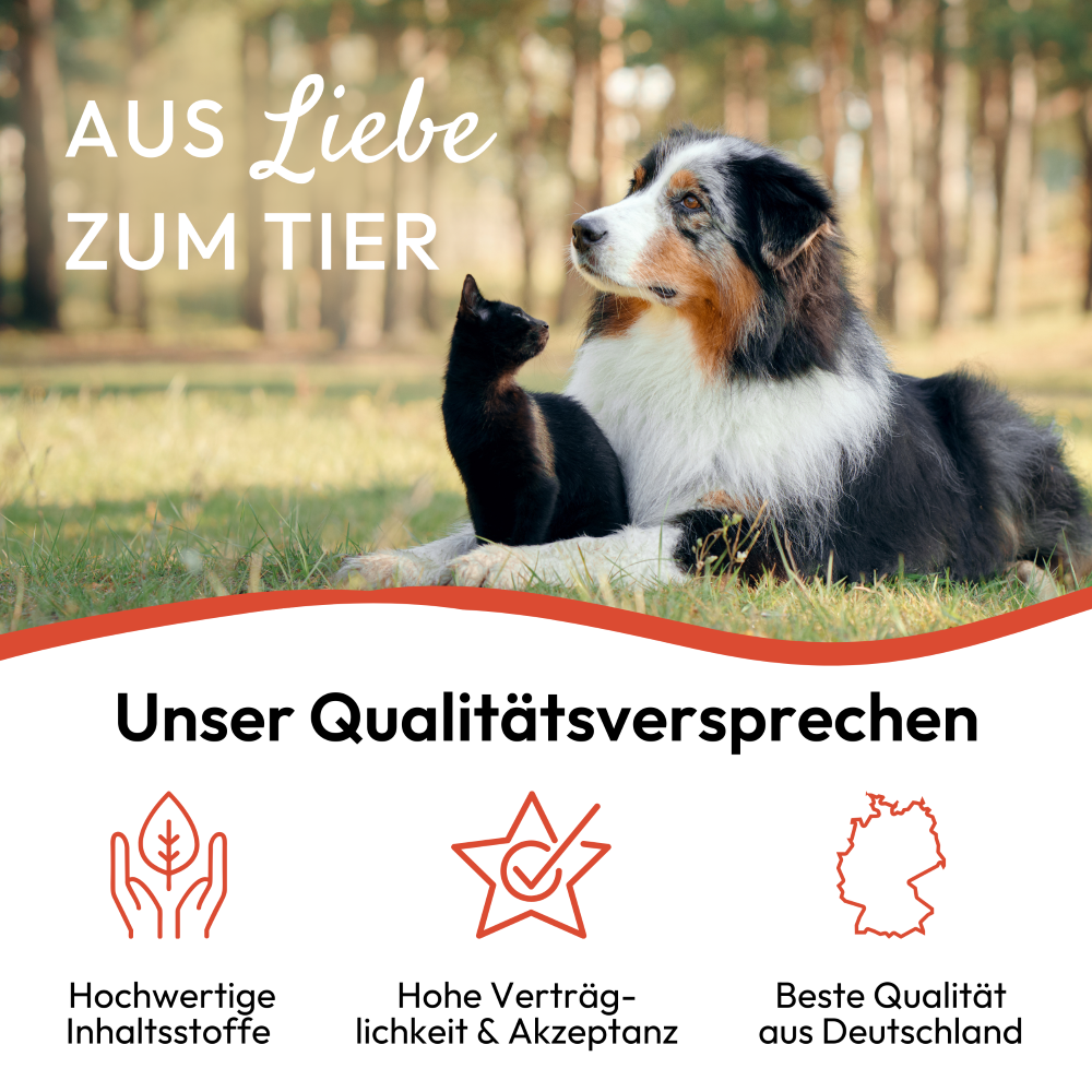 PHA Floh & ZeckenStopp für Hunde u. Katzen 100 ml