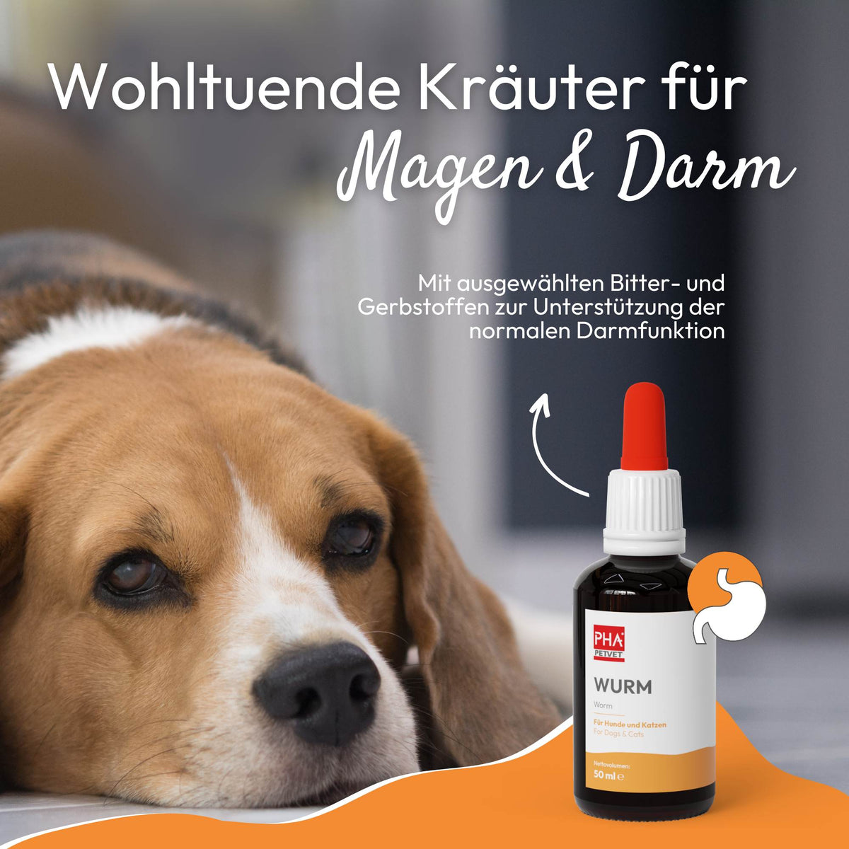 PHA WURM für Hunde u. Katzen 50 ml