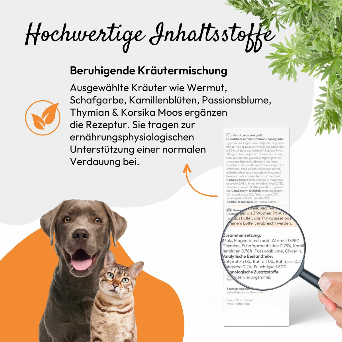 PHA WURM für Hunde u. Katzen 50 ml