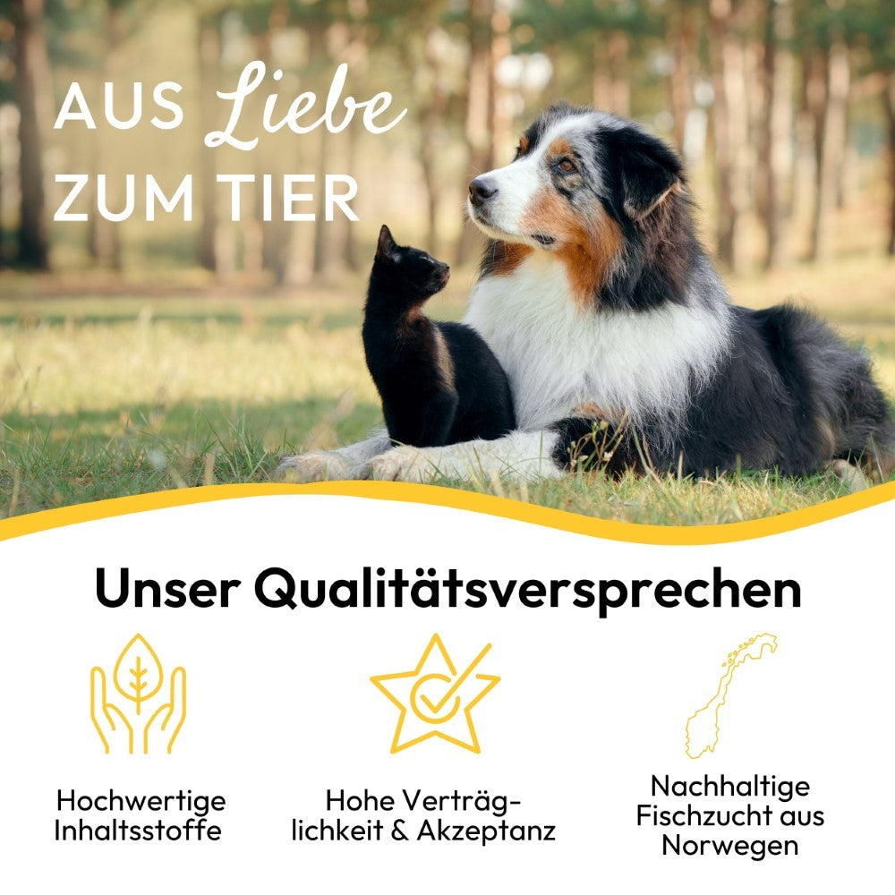 PHA Lachsöl für Hunde, Katzen und Pferde