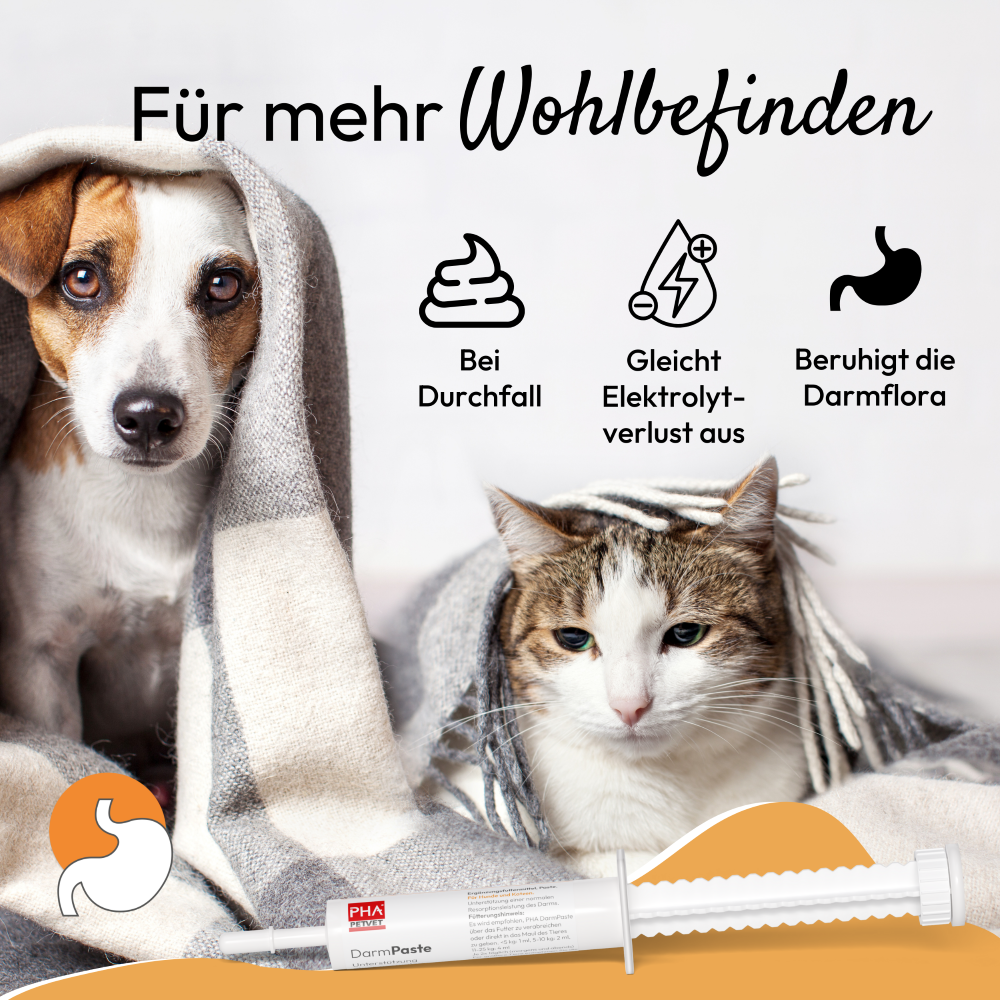 PHA DarmPaste für Hunde und Katzen 15 ml