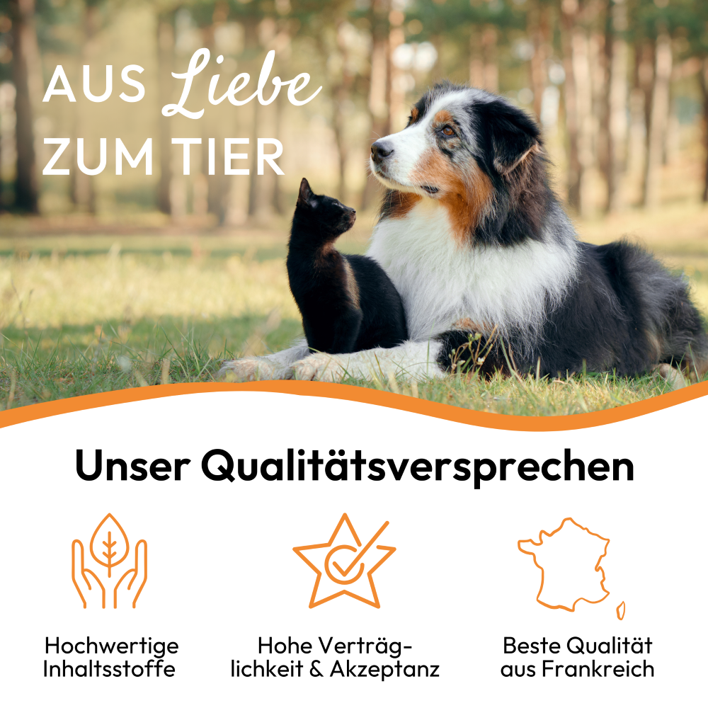 PHA DarmPaste für Hunde und Katzen 15 ml