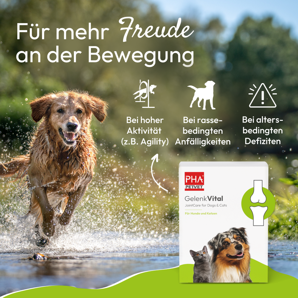 PHA GelenkVital für Hunde & Katzen 150 g