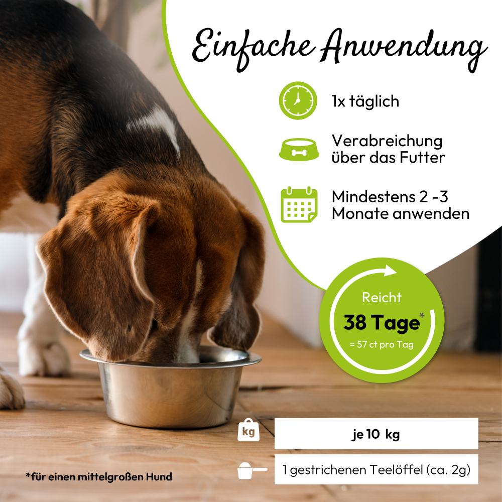 PHA GelenkVital für Hunde & Katzen 150 g