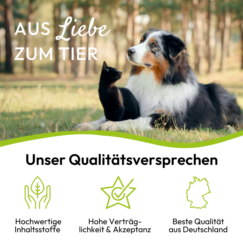 PHA GelenkVital für Hunde & Katzen 150 g