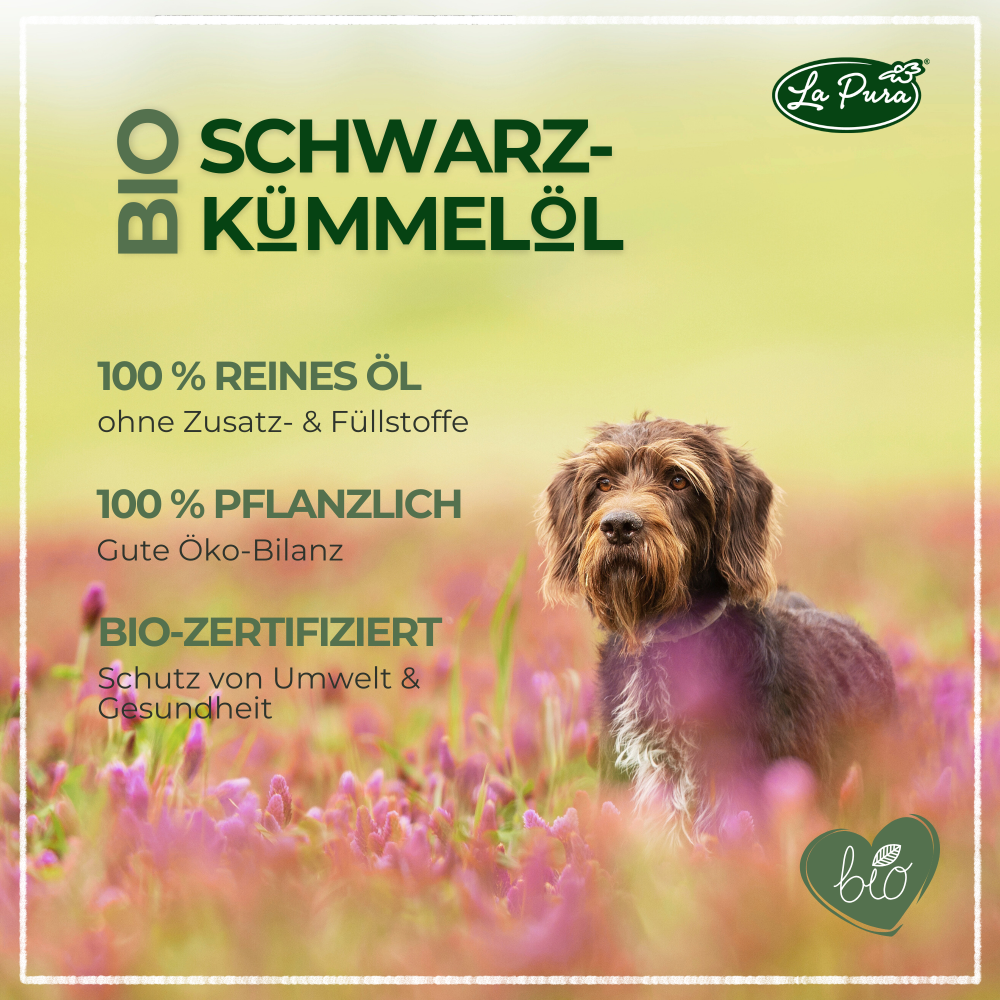 LaPura Bio-Schwarzkümmelöl für Hunde und Pferde