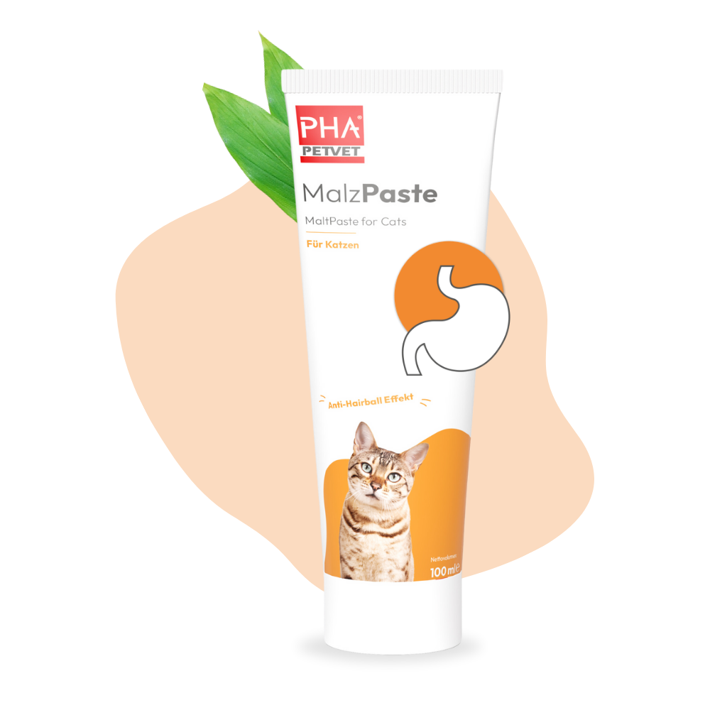 PHA MalzPaste für Katzen  - 100 ml