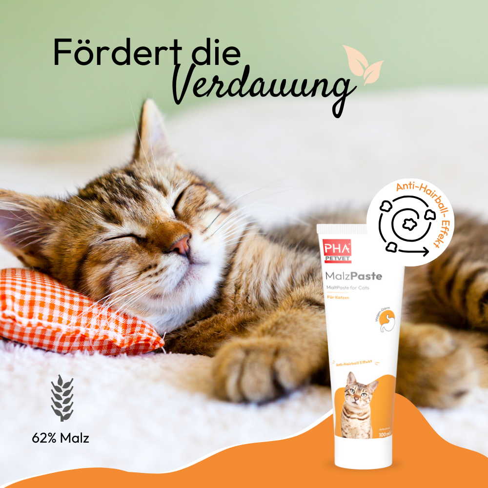 PHA MalzPaste für Katzen  - 100 ml
