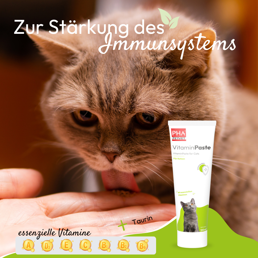 PHA VitaminPaste für Katzen - 100 ml