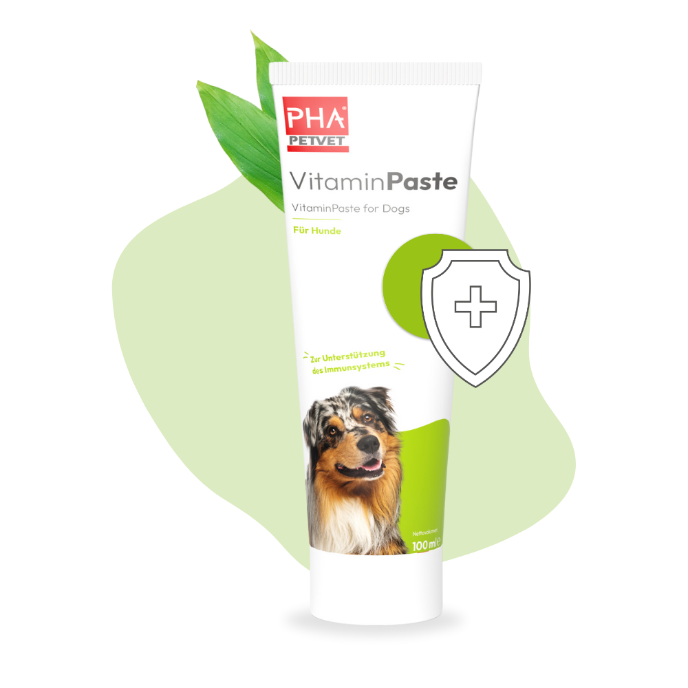 PHA VitaminPaste für Hunde - 100 ml