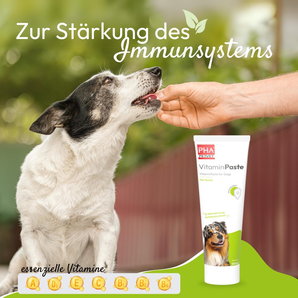 PHA VitaminPaste für Hunde - 100 ml