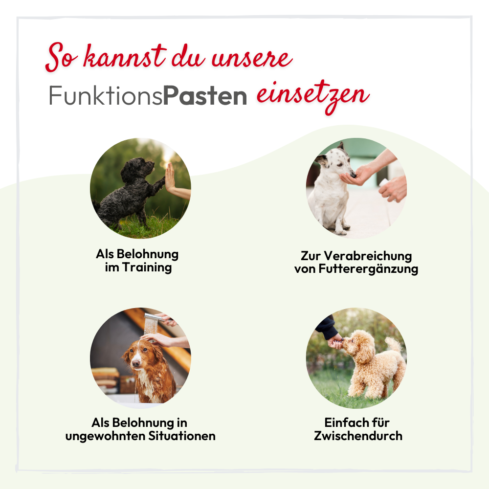 PHA VitaminPaste für Hunde - 100 ml