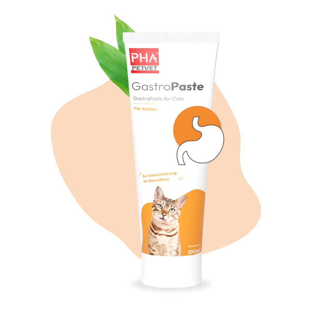 PHA GastroPaste für Katzen - 100 ml