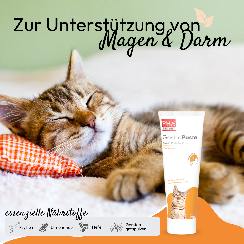 PHA GastroPaste für Katzen - 100 ml
