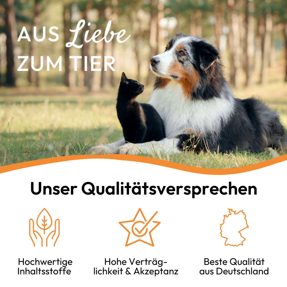 PHA GastroPaste für Katzen - 100 ml