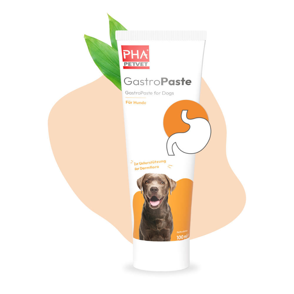 PHA GastroPaste für Hunde - 100 ml
