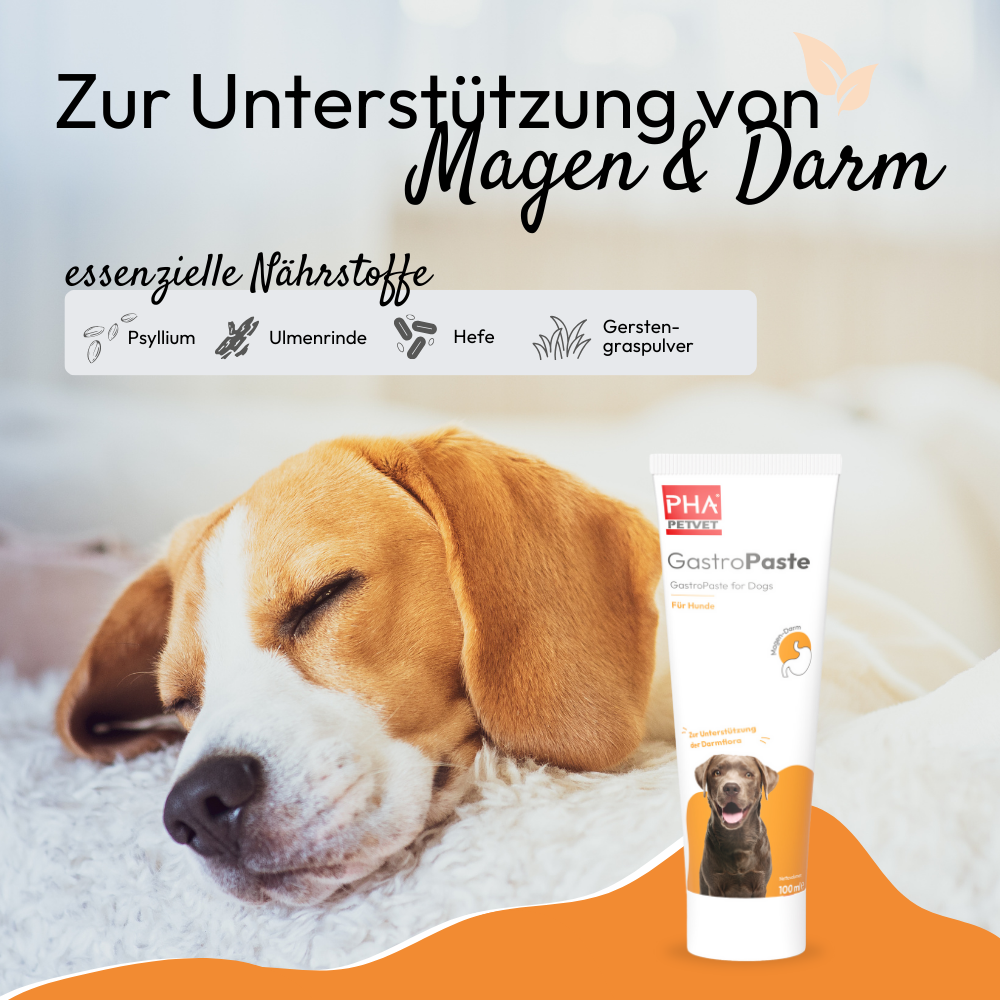 PHA GastroPaste für Hunde - 100 ml