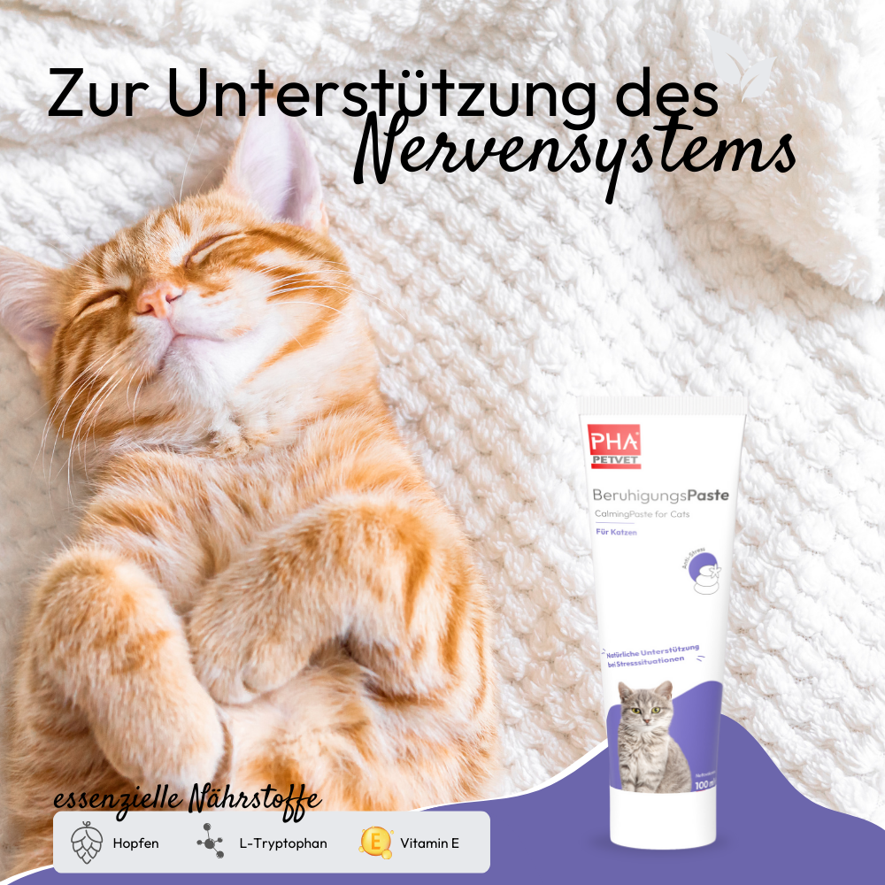 PHA BeruhigungsPaste für Katzen - 100 ml