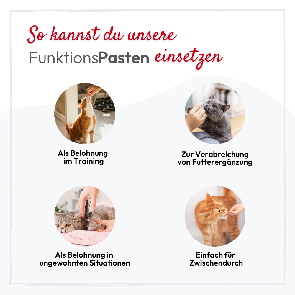 PHA BeruhigungsPaste für Katzen - 100 ml