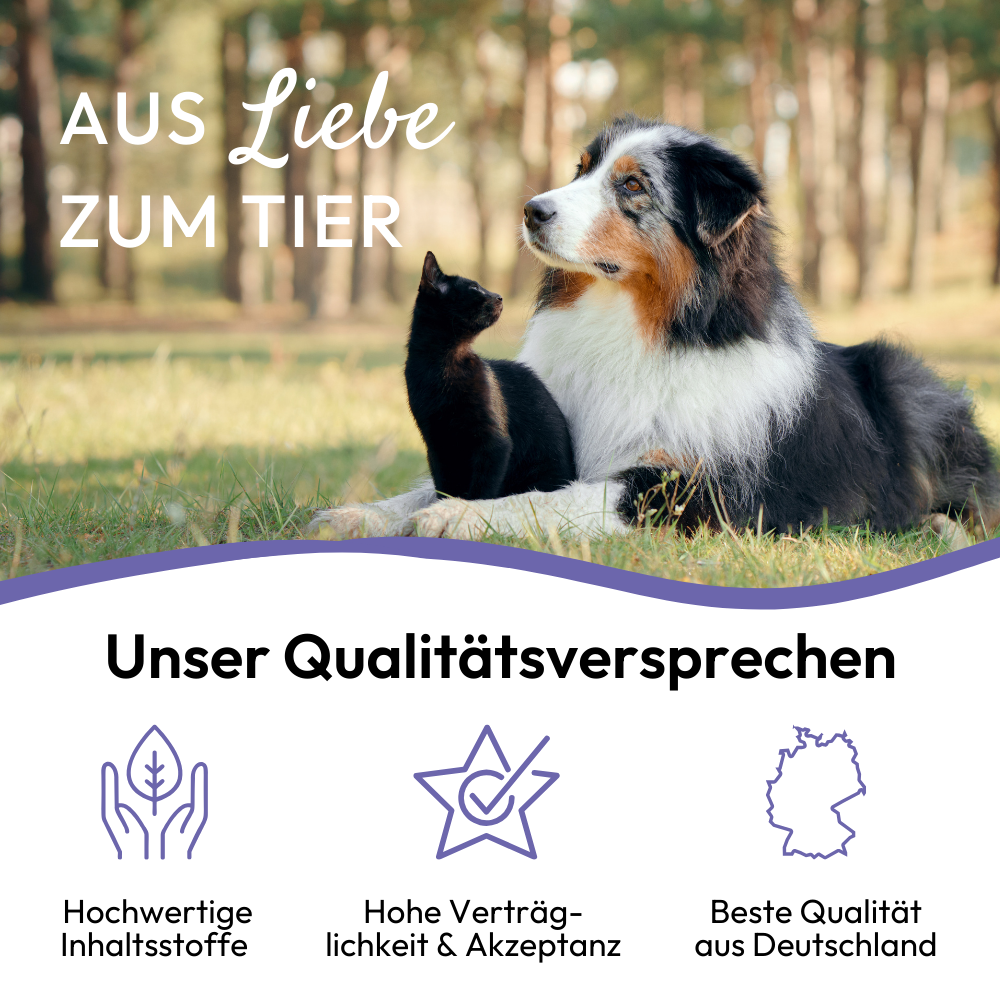 PHA BeruhigungsPaste für Katzen - 100 ml