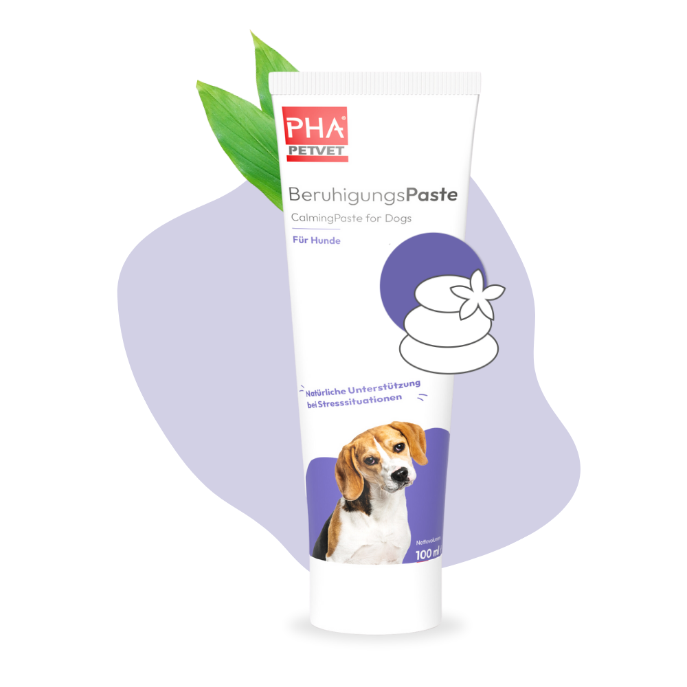 PHA BeruhigungsPaste für Hunde - 100 ml