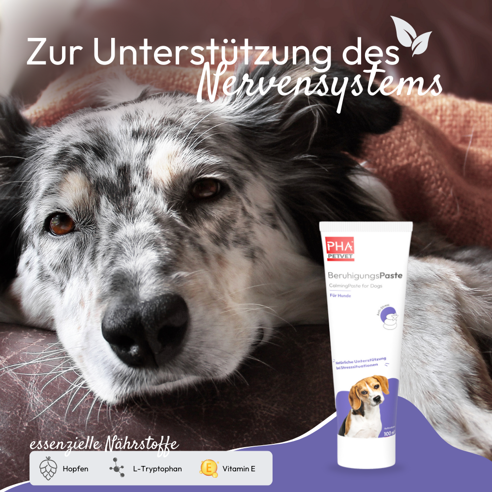 PHA BeruhigungsPaste für Hunde - 100 ml