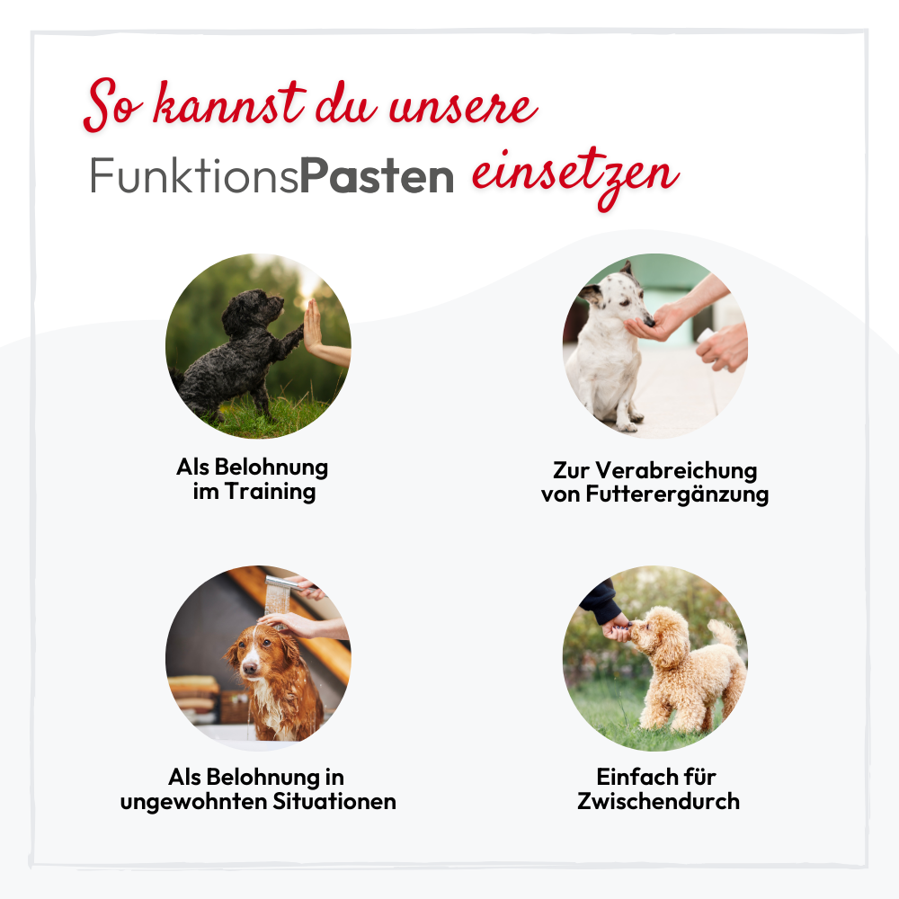 PHA BeruhigungsPaste für Hunde - 100 ml