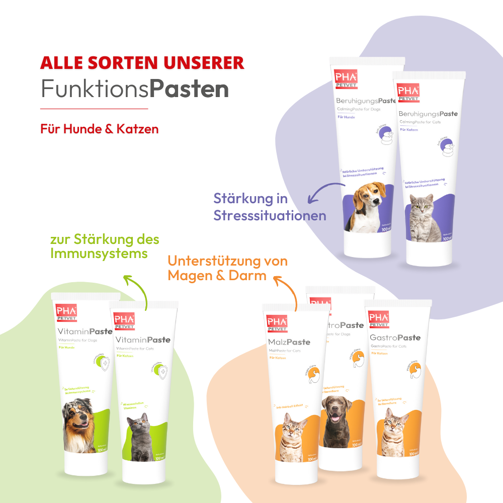 PHA BeruhigungsPaste für Hunde - 100 ml