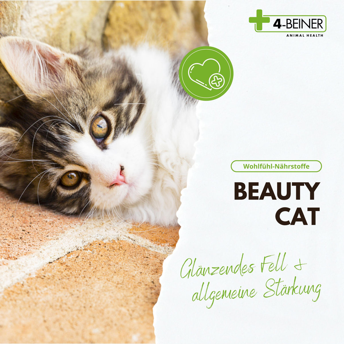 4-BEINER BEAUTY-CAT