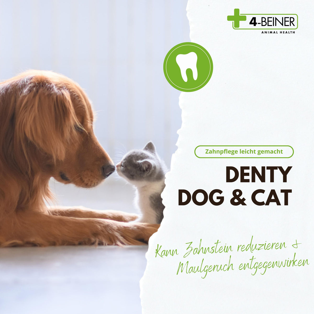 4-BEINER DENTY-DOG & CAT