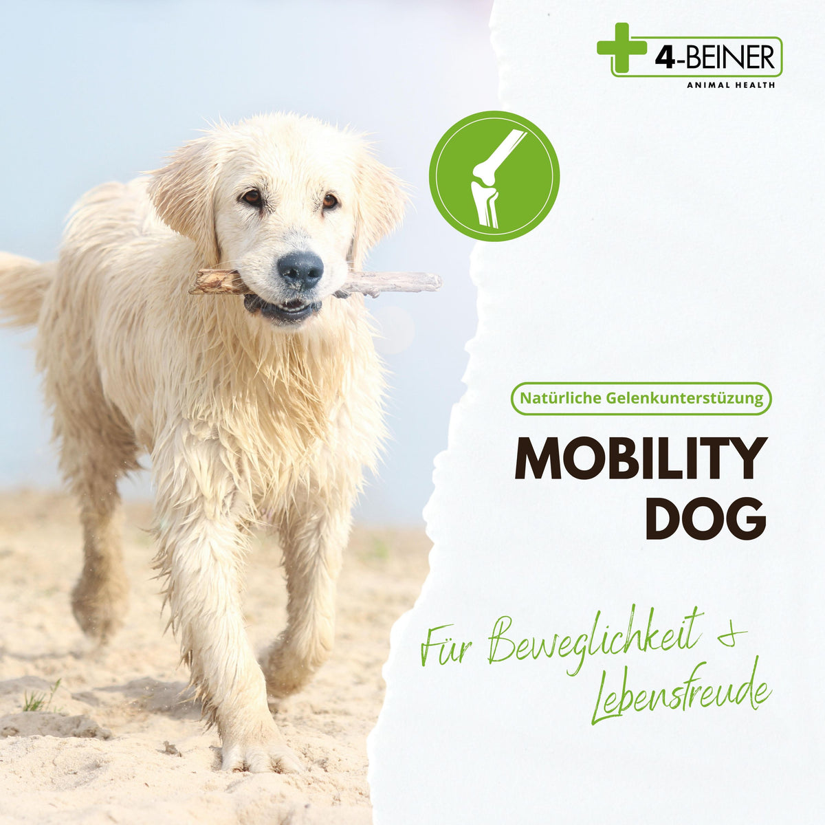 4-BEINER MOBILITY-DOG