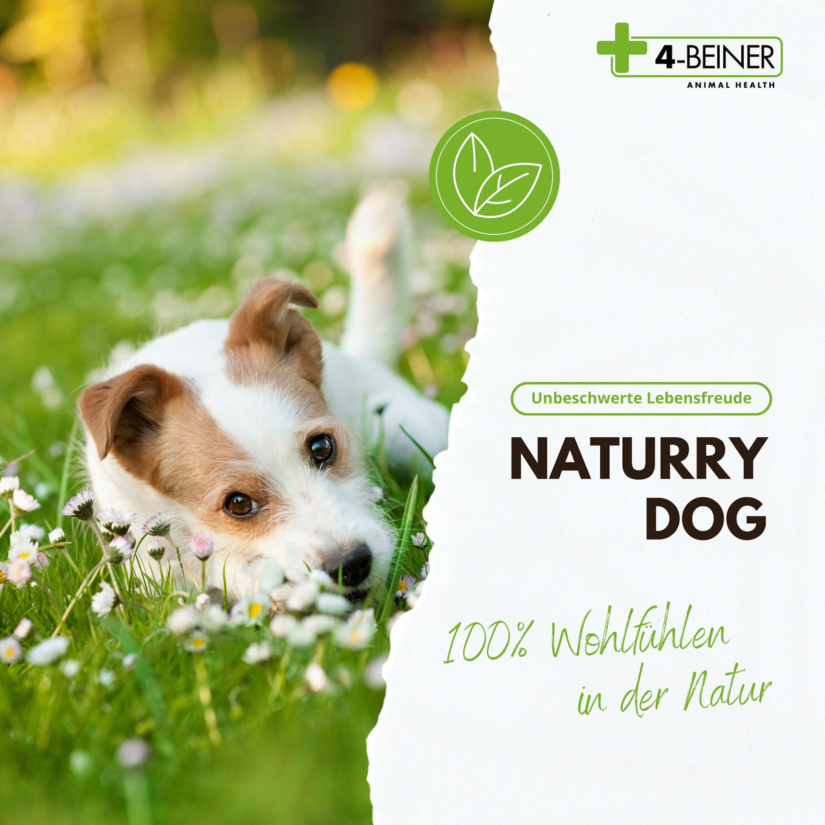 4-BEINER NATURRY-DOG