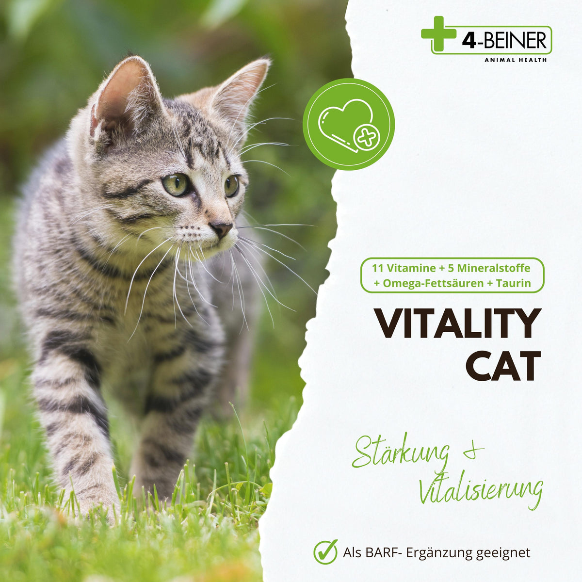 4-BEINER VITALITY-CAT