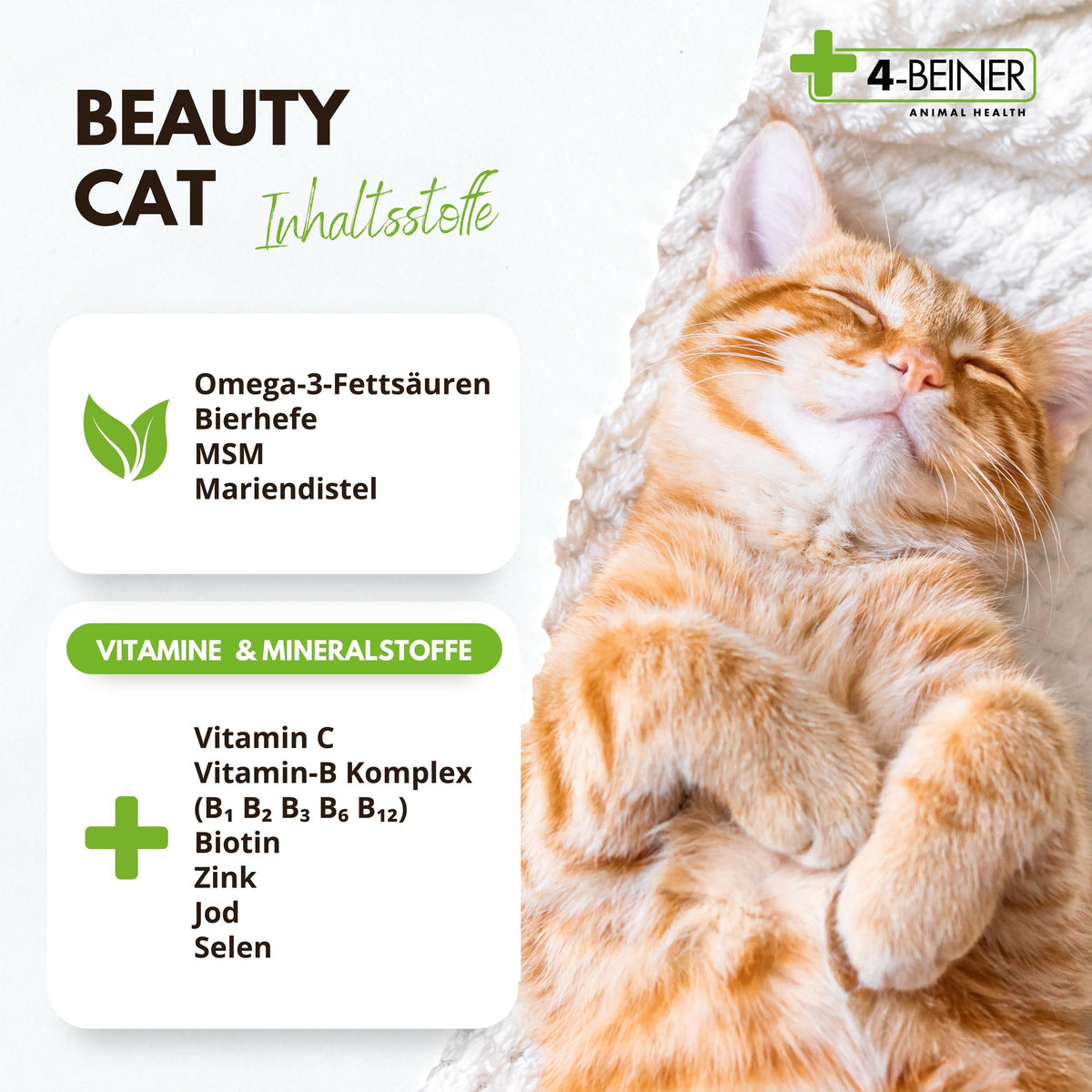 4-BEINER BEAUTY-CAT