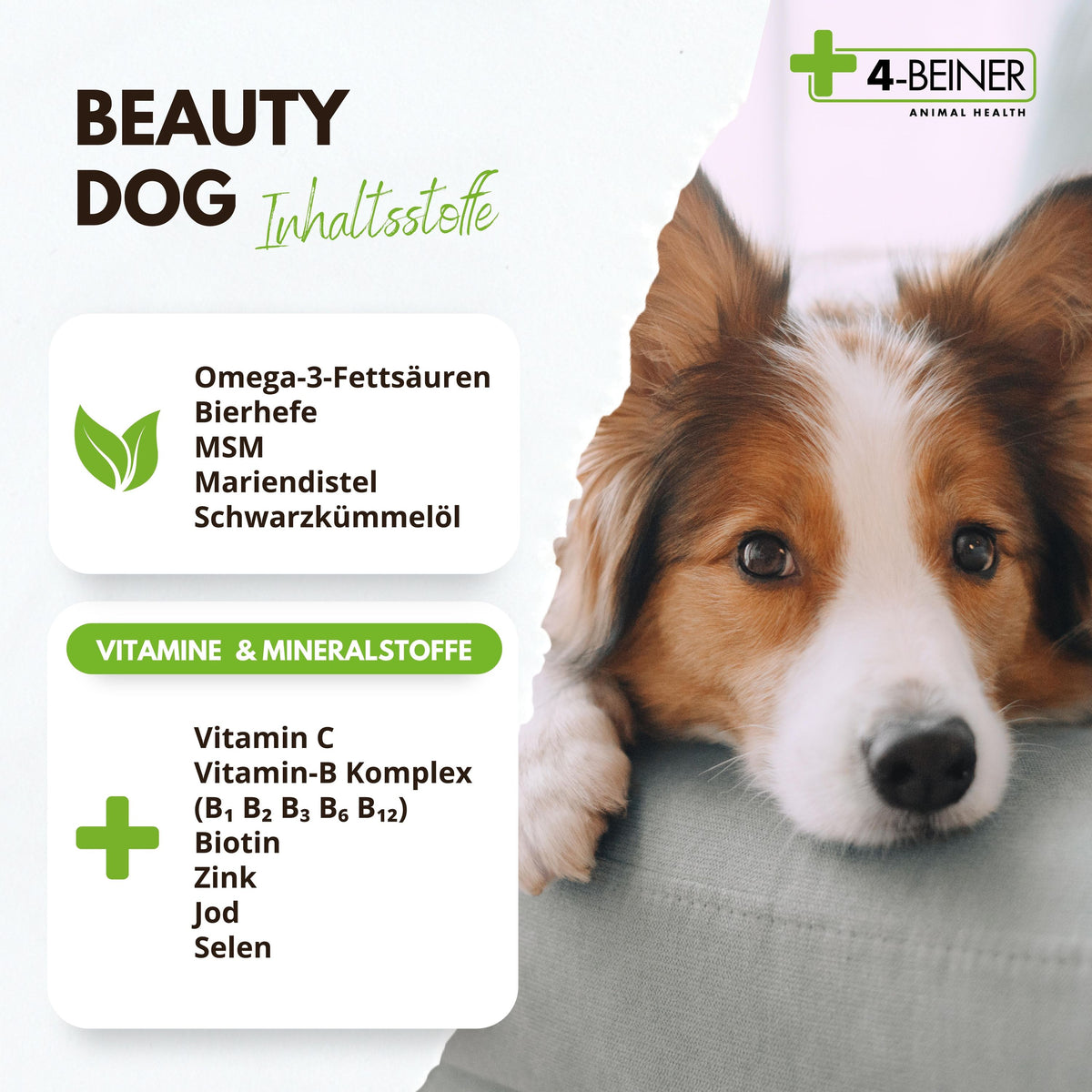 4-BEINER BEAUTY-DOG