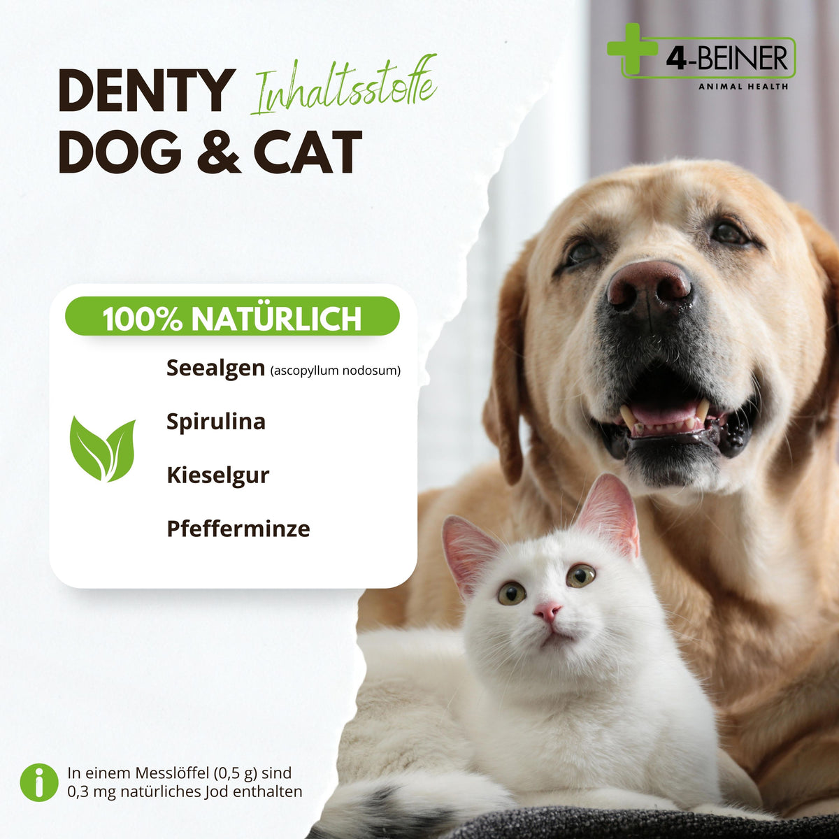 4-BEINER DENTY-DOG & CAT
