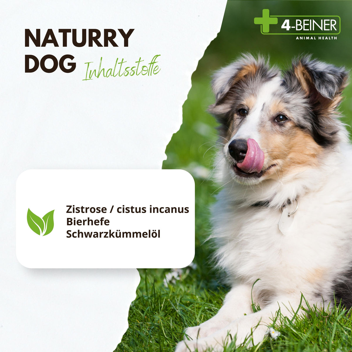 4-BEINER NATURRY-DOG