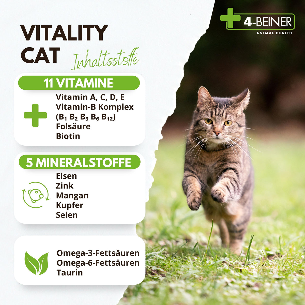 4-BEINER VITALITY-CAT