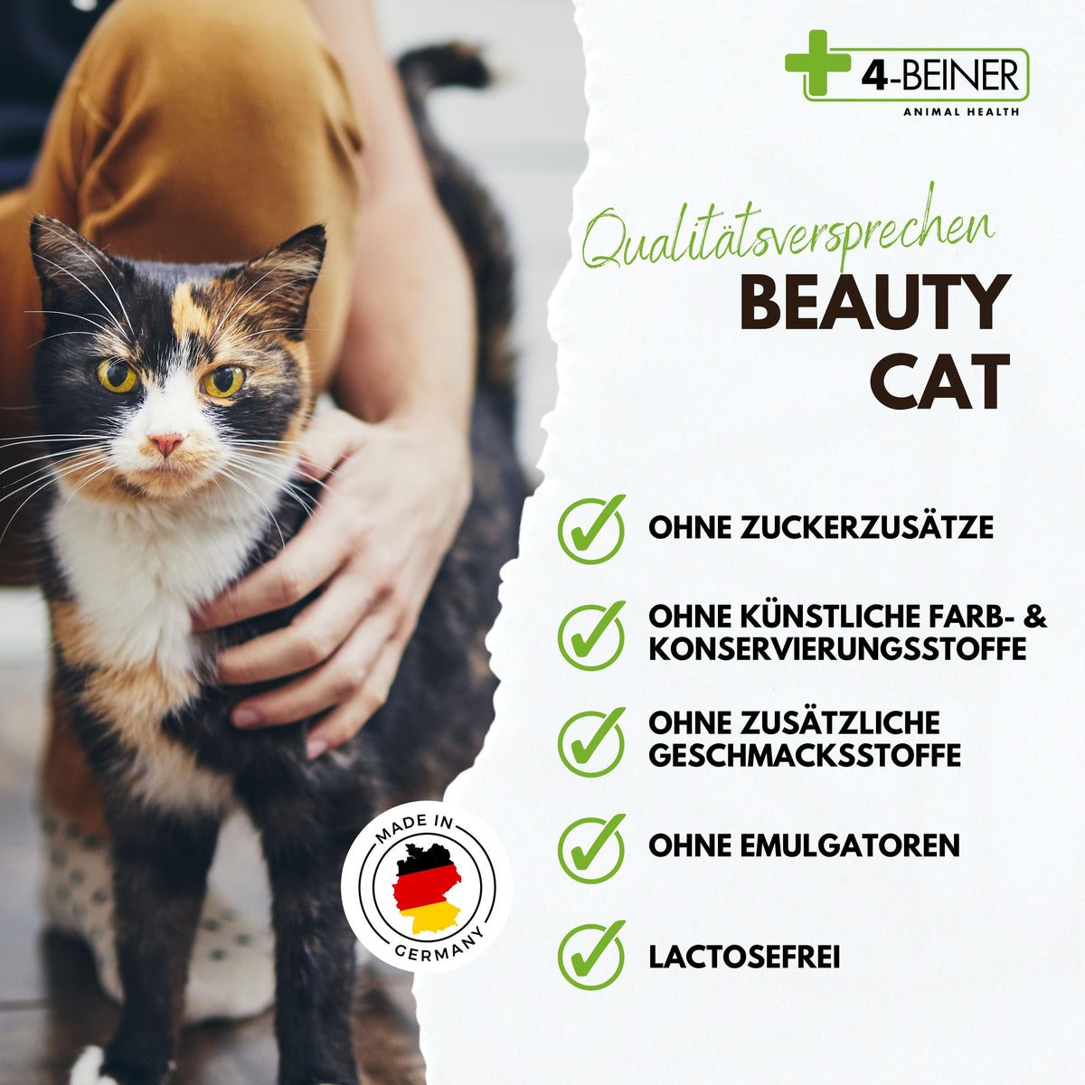 4-BEINER BEAUTY-CAT