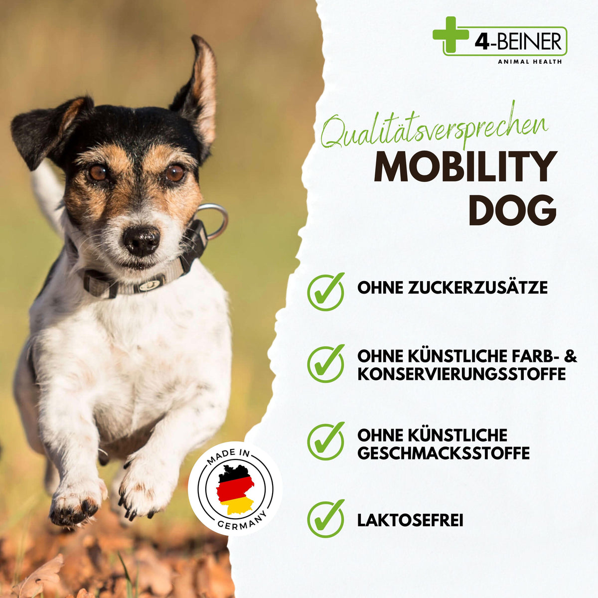 4-BEINER MOBILITY-DOG
