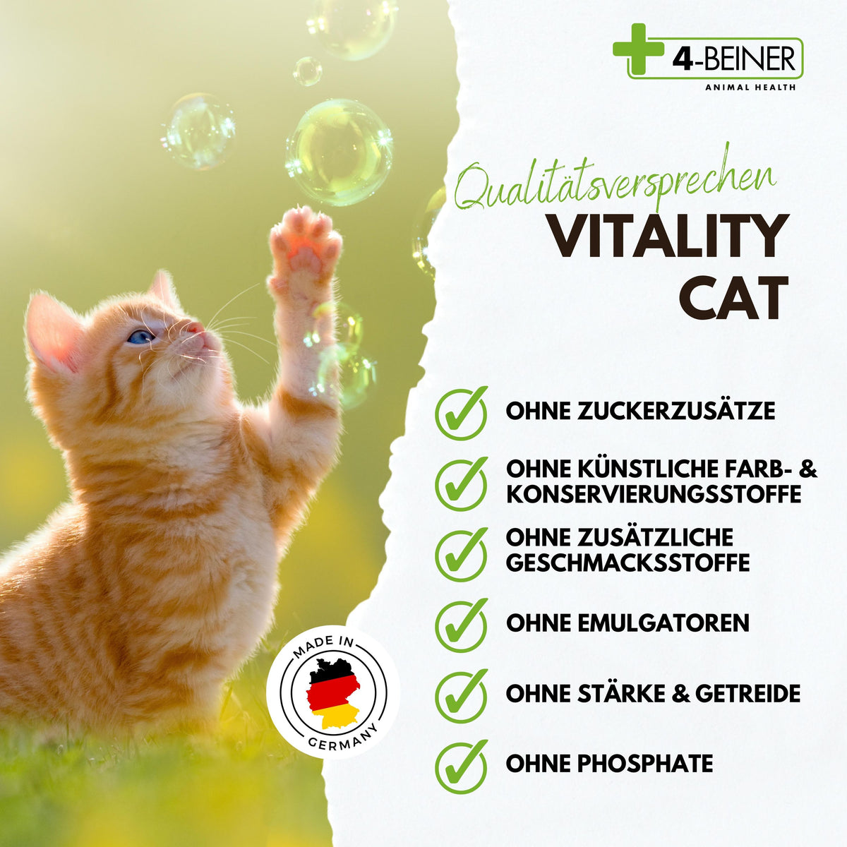 4-BEINER VITALITY-CAT