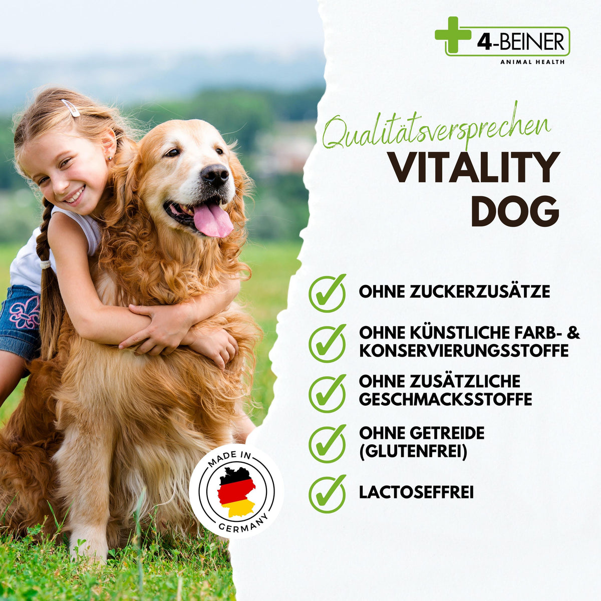 4-BEINER VITALITY-DOG
