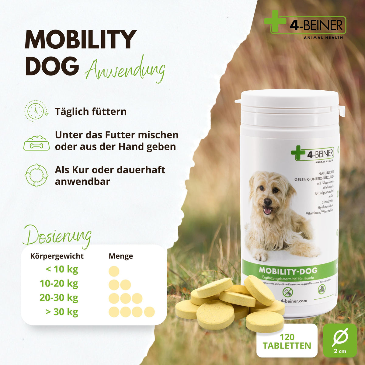 4-BEINER MOBILITY-DOG