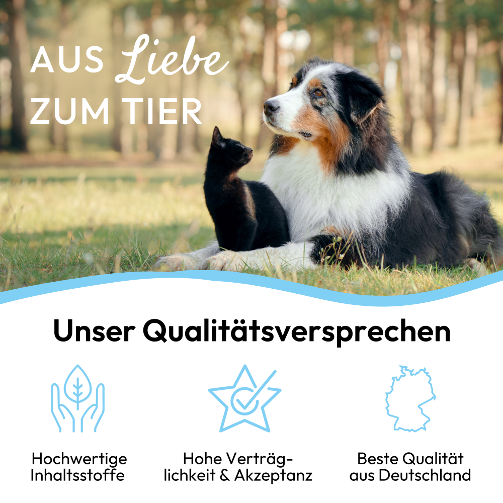 PHA OhrenPflege für Hunde u. Katzen 100 ml