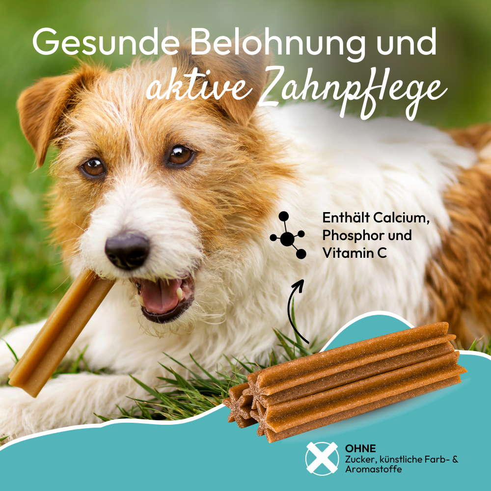PHA DentalStick für Hunde, 7 Stk.